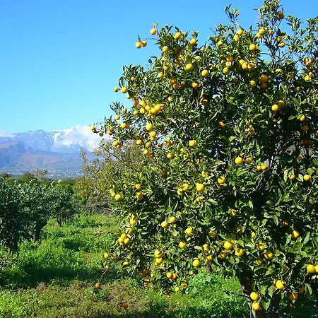 Casa Della Camelia *
